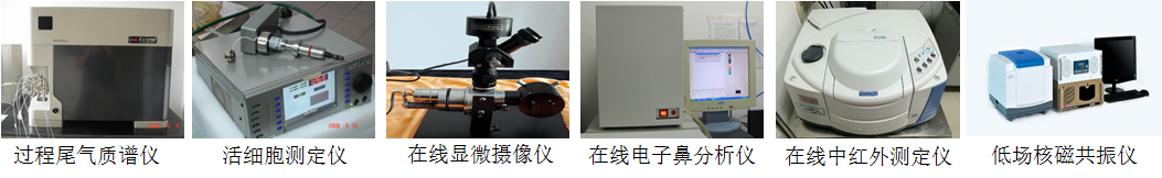 過程檢測與控制技術開發與應用